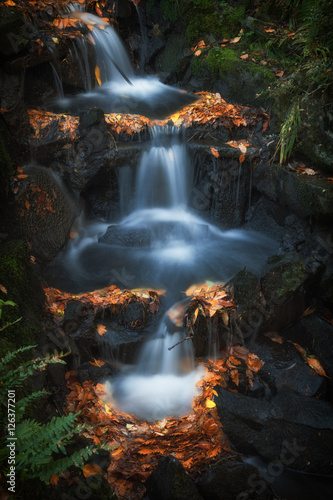 Clyne Park waterfalls Autumn leaves on a small set of waterfalls in Clyne Park, Swansea