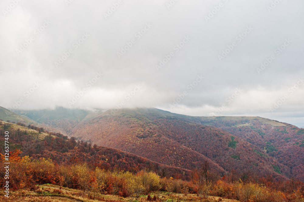 Scenic view of mountain autumn red and orange forests covering b