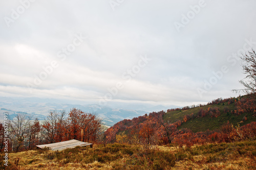Wood ground on autumn red forest and mountains