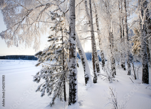 winter landscape © salman2