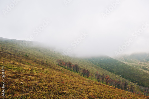 Scenic view of mountain autumn red and orange forests covering b