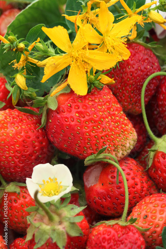 strawberries and flowers