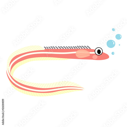Quillfish animal cartoon character. Isolated on white background. Vector illustration.