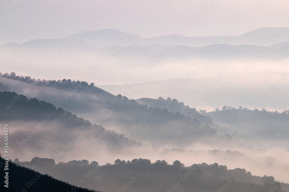 Misty hills in the morning