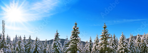 Winterlandschaft im Mittelgebirge