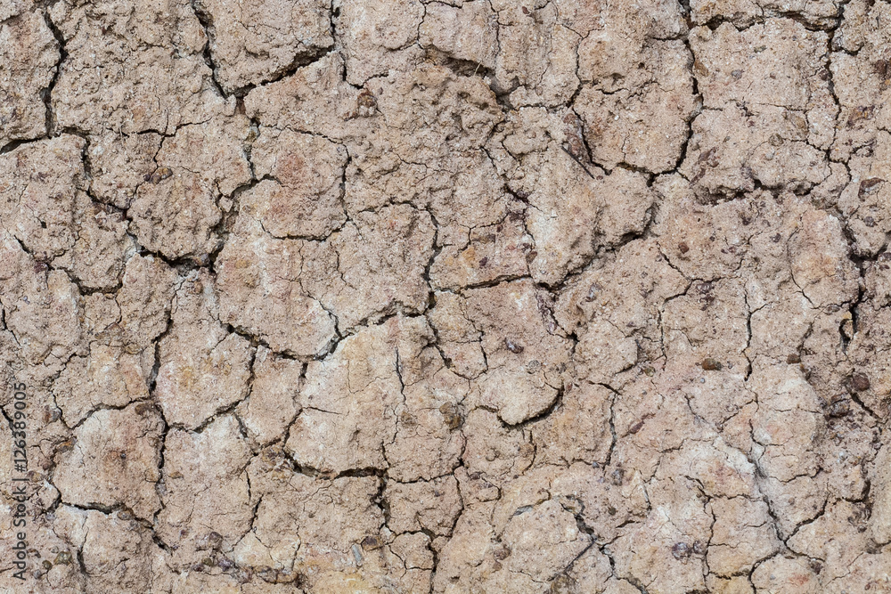 Cracked ground texture Cracked ground texture