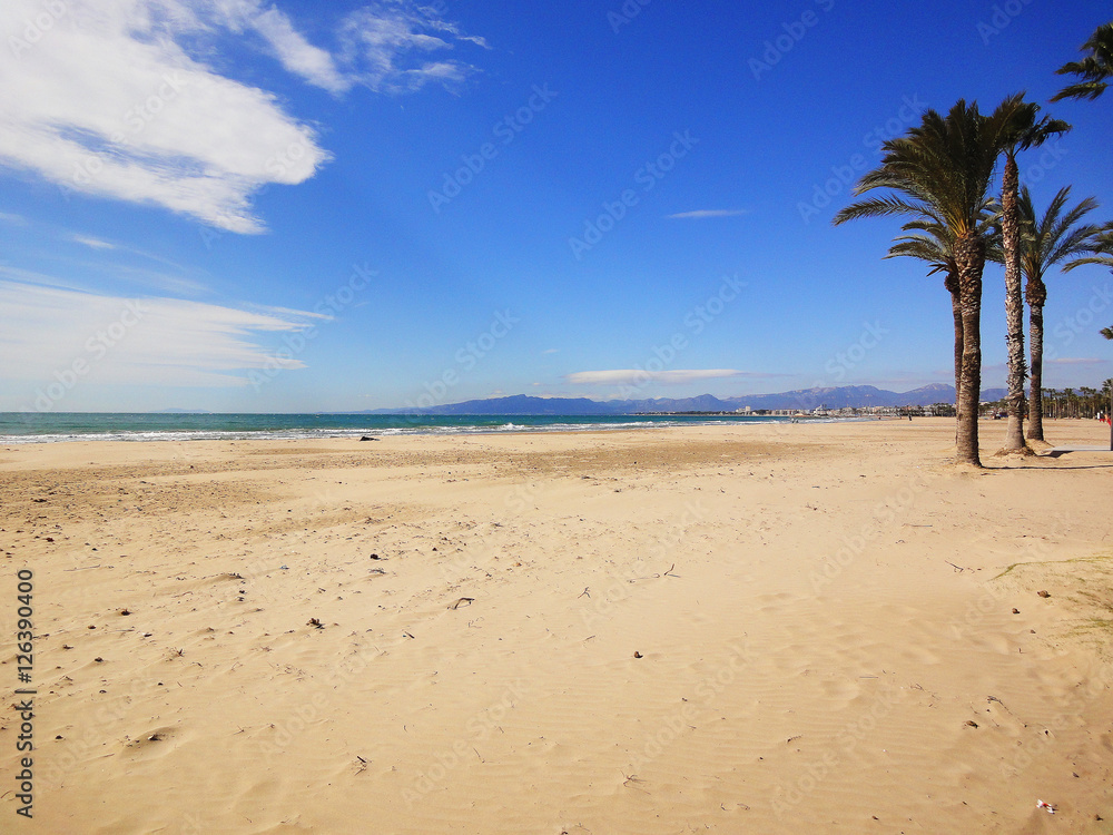 Sea, palm trees, views of Spain