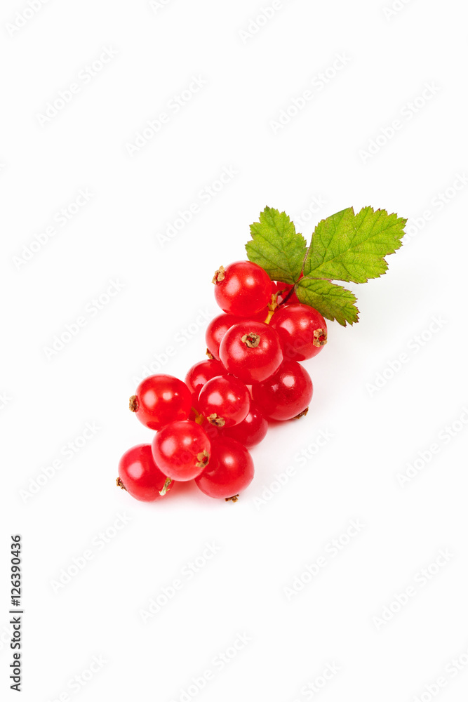 Johannisbeeren auf weissem Untergrund Johannisbeeren auf weissem Untergrund