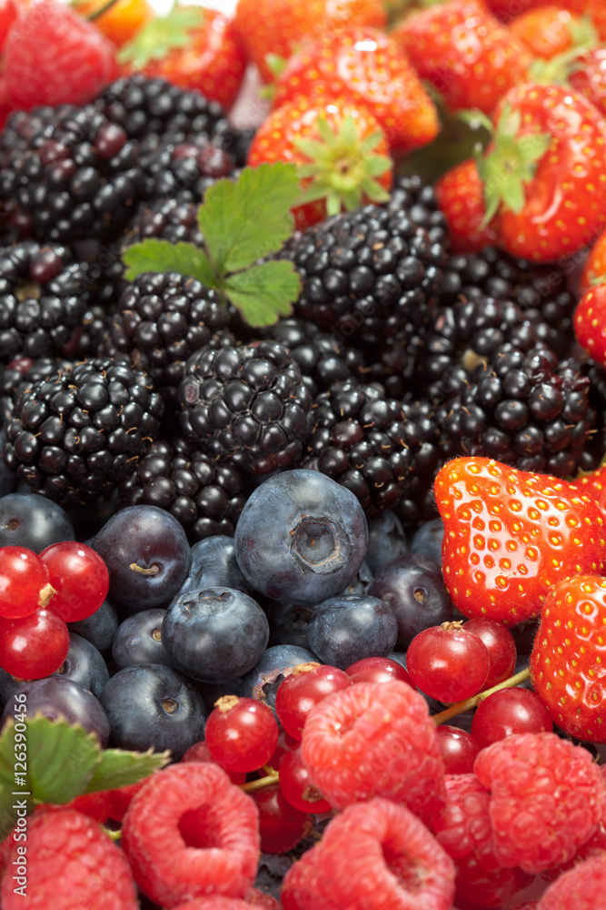 Johannisbeeren, Brombeeren, Erdbeeren, Blaubeeren, closeup Johannisbeeren, Brombeeren, Erdbeeren, Blaubeeren, closeup