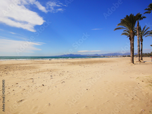 Sea  palm trees  views of Spain