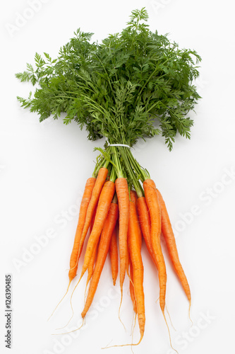 Bund frische Karotten auf weissem Untergrund