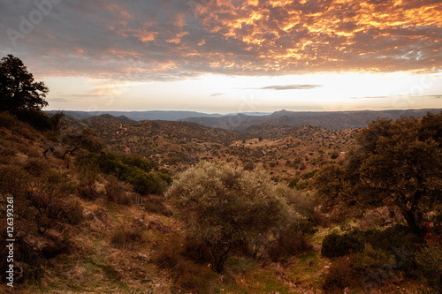 Beautiful spanish andalusia landscape, spain, big panorama, nature and other beauty from spain, sunset in siera de andujar photo