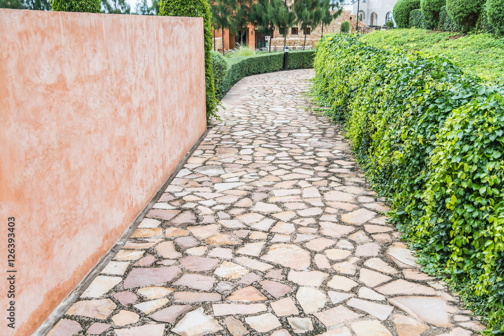 Stone path with fallen leaves through Stone path with fallen leaves through