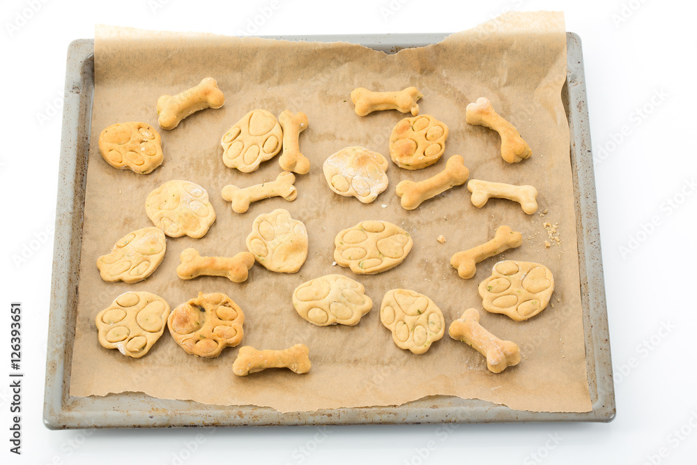 selbst gemachte Hundekekse aus Dinkelmehl, Eier, Hühnerleberwur selbst gemachte Hundekekse aus Dinkelmehl, Eier, Hühnerleberwur