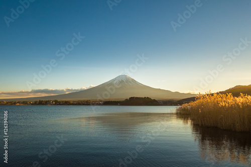 view of Mount Fuji and lake kawaguchiko from Oishi Park in Fuji-Kawaguchiko Town  Japan