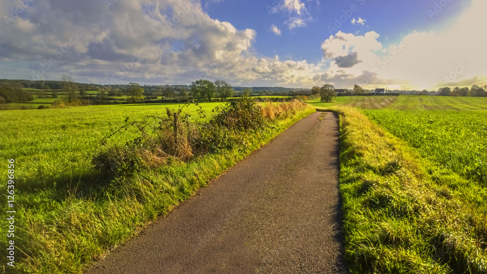 Obraz premium fields agriculture uk