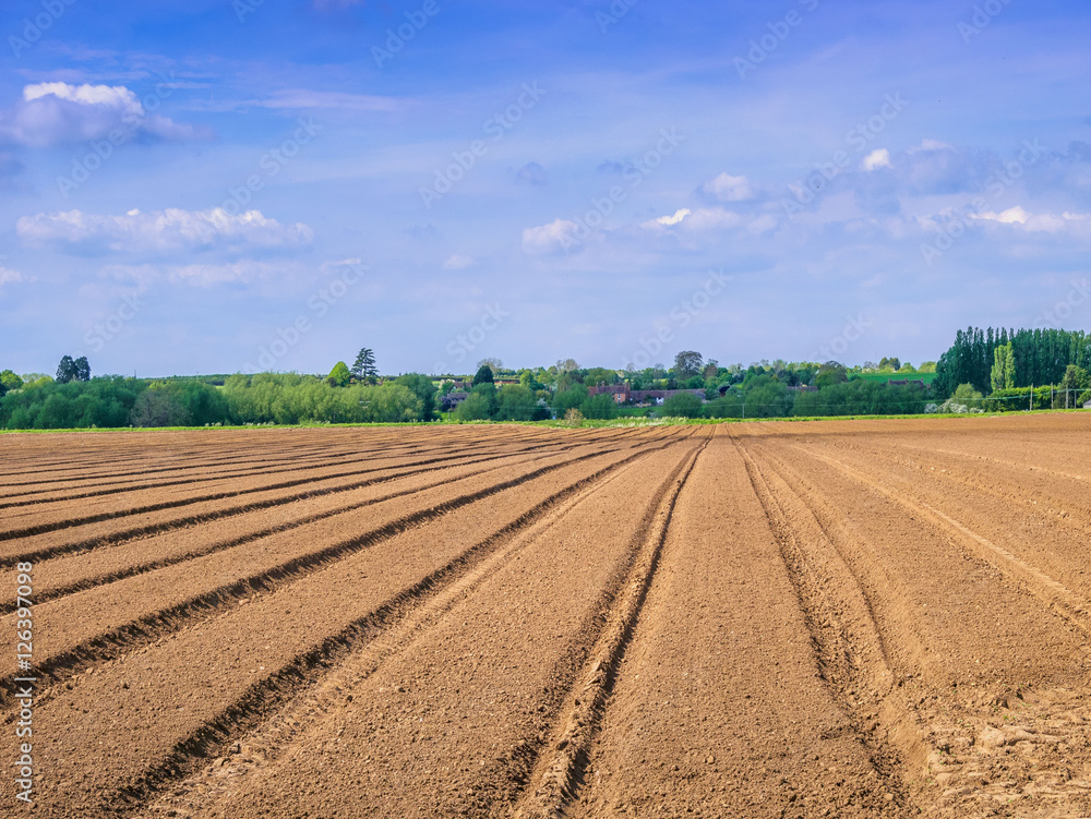 agriculture agriculture