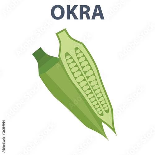 Okra. Vector Illustration of whole and sliced okra, lady fingers