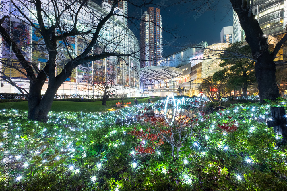 Illumination in public park of Tokyo, Japan