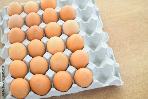 Eggs in Paper tray