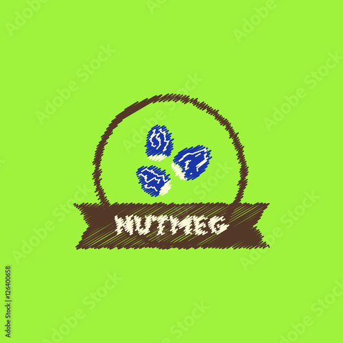 flat vector icon design collection Kitchenware seasoning nutmeg