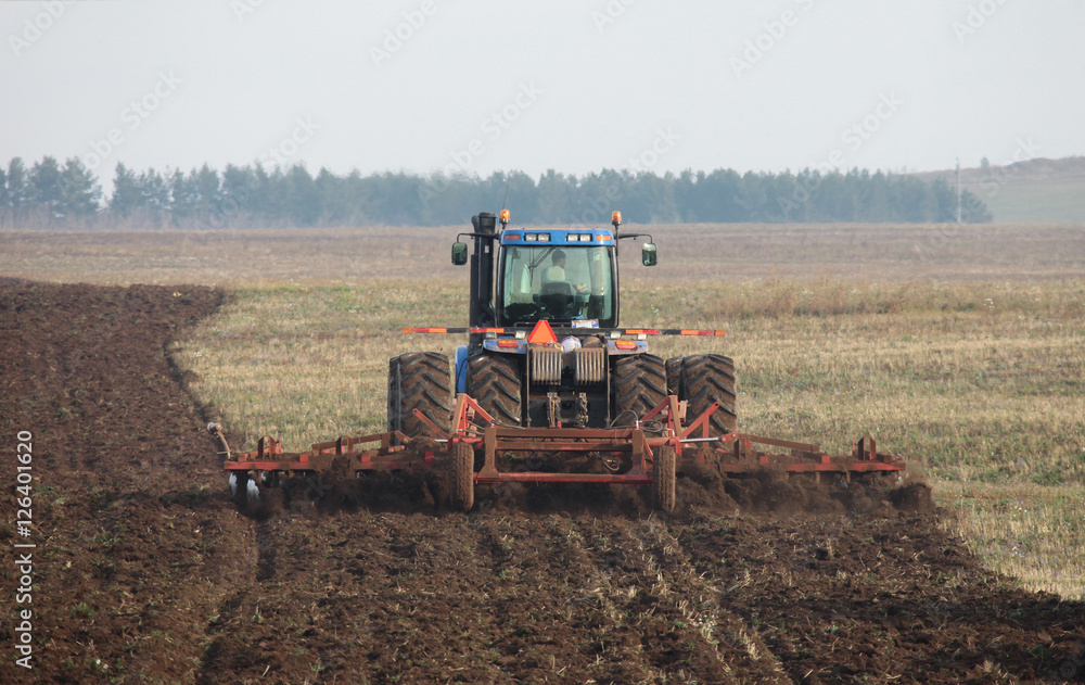 Fototapeta premium cultivation