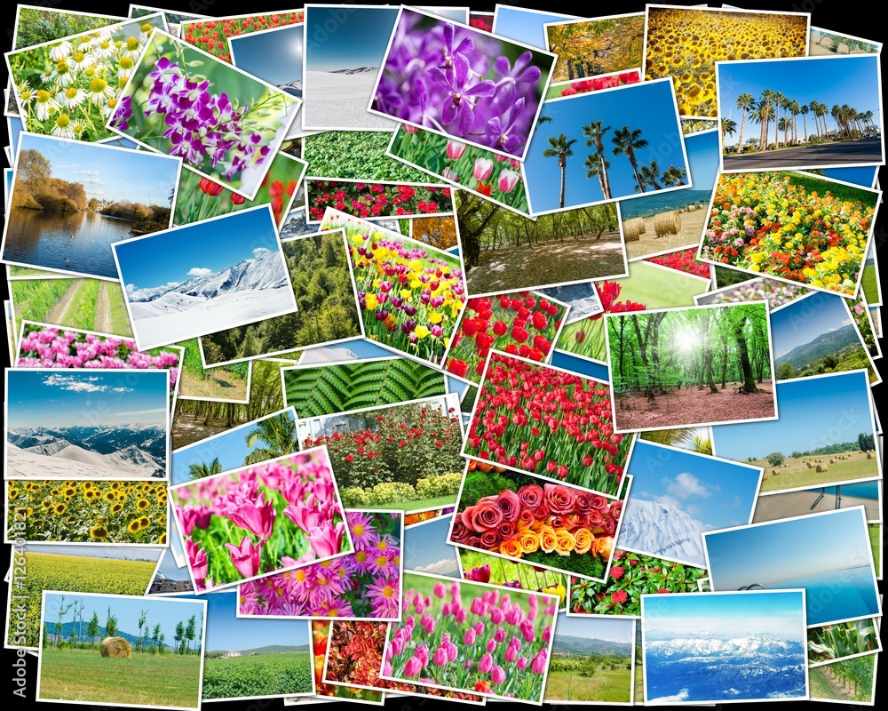 Collage of various nature photos Collage of various nature photos