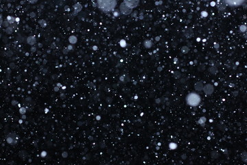 Real falling snow on a black background for use as a texture layer in your project. Add as "Lighten" Layer in Photoshop to add falling snow to any image. Adjust opacity to taste. 