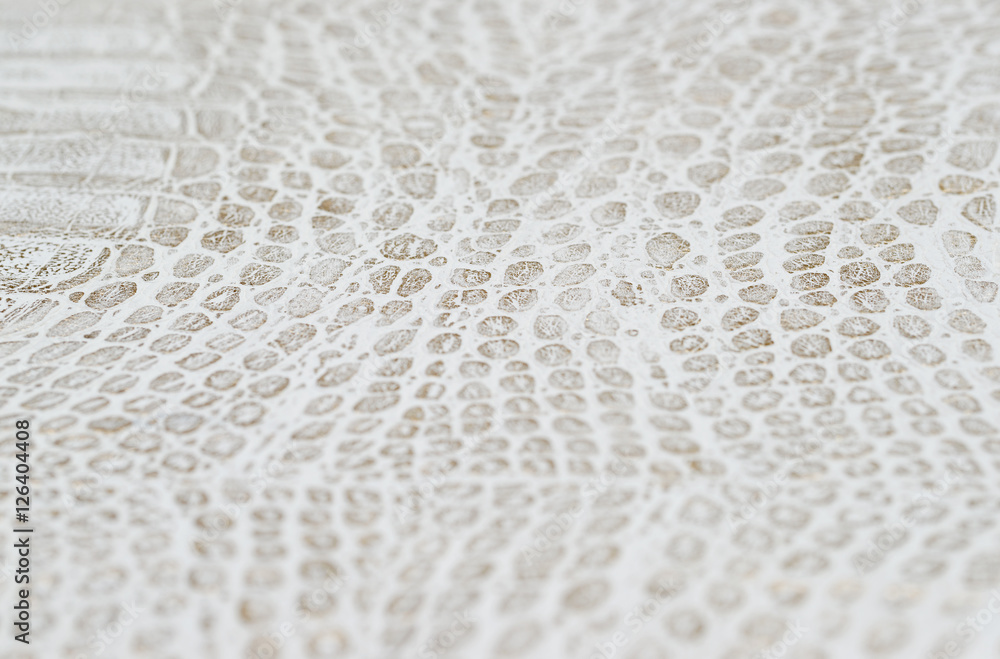 Fototapeta premium White leather texture background