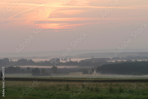 fog over the field