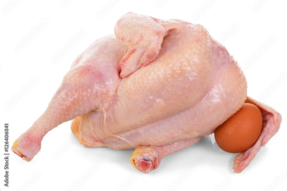 Whole raw chicken meat and egg isolated on white.