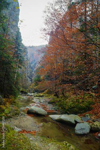 Landscape from Valea lui Stan gorge in Romania