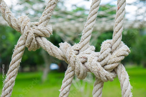 Close up Coil of rope with nature background.