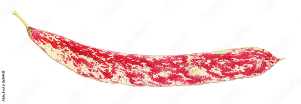 red string bean red string bean