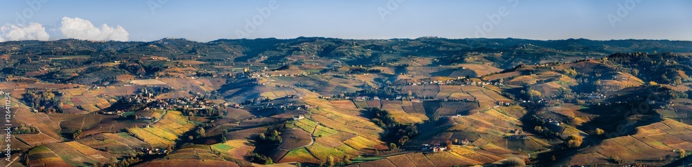 Vineyards of Langhe (Piedmont, Italy)
