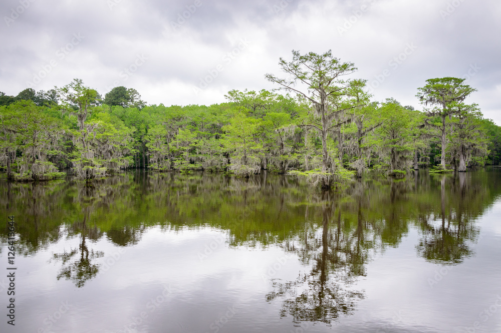 Caddo Lake State Park Caddo Lake State Park