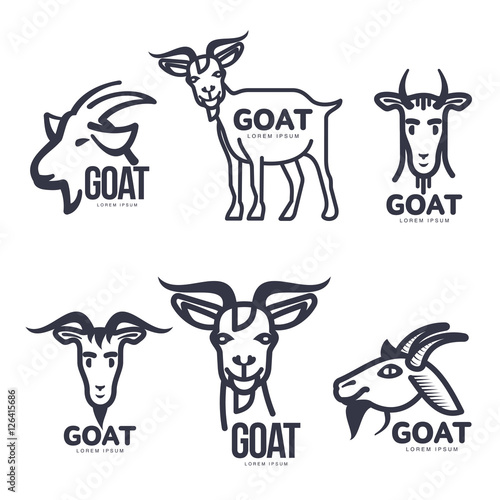 Set of funny goat head and body logo templates, cartoon vector illustration on white background. Set of cute, funny goat heads and body, side and front view, for dairy, beef, farm products logo design