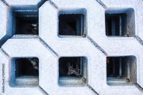 Detail of concrete grid with a spider web