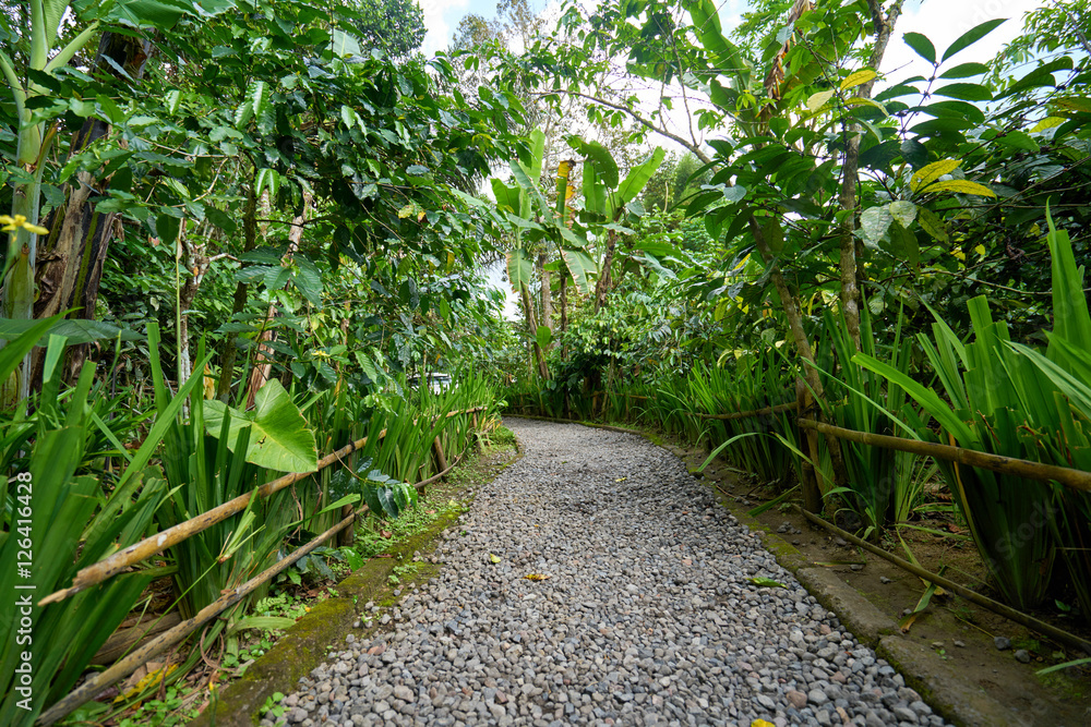 Obraz premium Coffee