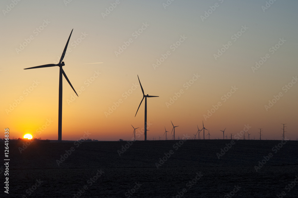 Windfarm scene