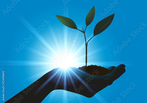 Plante - Main - développement durable -environnement