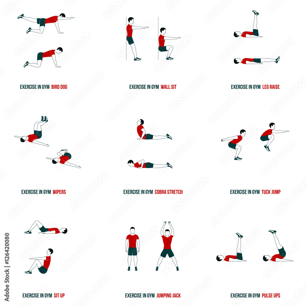 Set Workout In Gym For The Arms, Legs, Back, Chest Stock Vector Adobe Stock