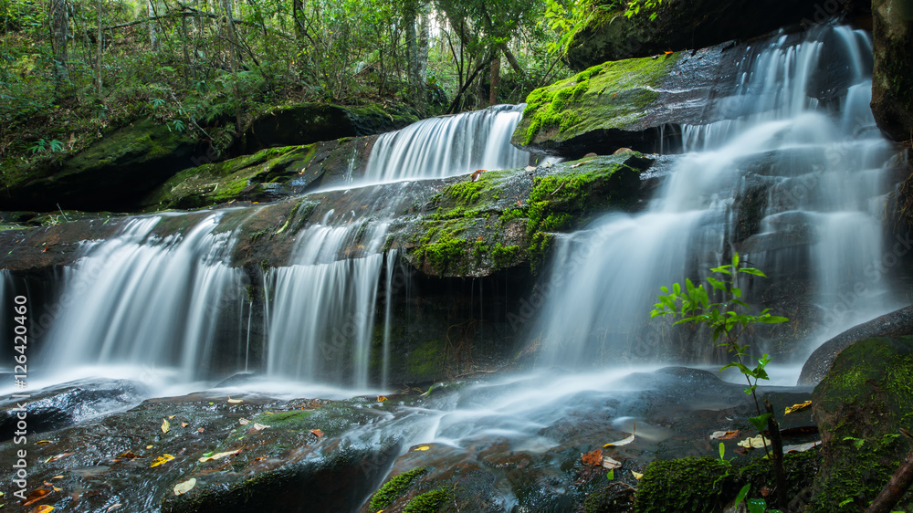 Obraz premium Beautiful waterfall in deep jungle