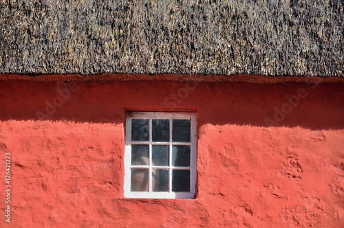 Window
