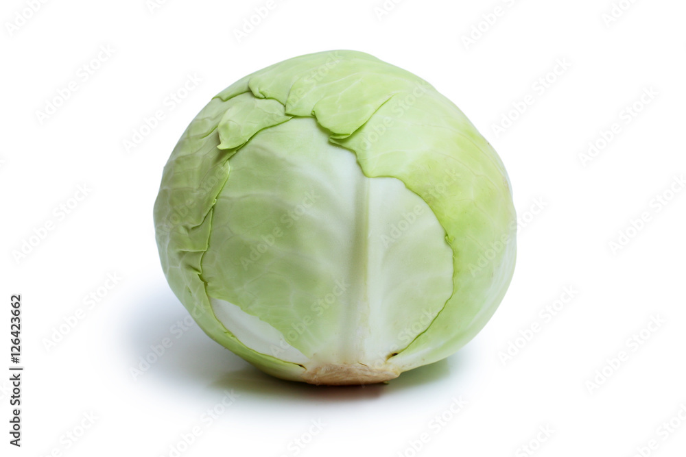 cabbage on white background cabbage on white background