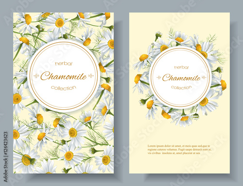 Vector chamomile flowers vertical banner. Design for tea, natural cosmetics, beauty store, organic health care products, perfume, essential oil, homeopathy, aromatherapy. With place for text