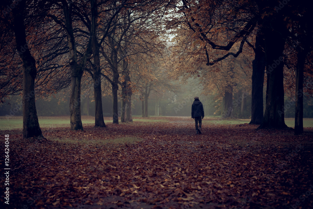 Mann läuft allein durch Herbstwald - obrazy, fototapety, plakaty 