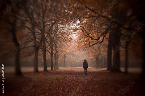Herbstdepression - Mann läuft durch Herbstwald photo