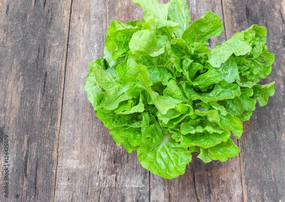 chinese cabbage organic vegetables on a wooden table. chinese cabbage organic vegetables on a wooden table.