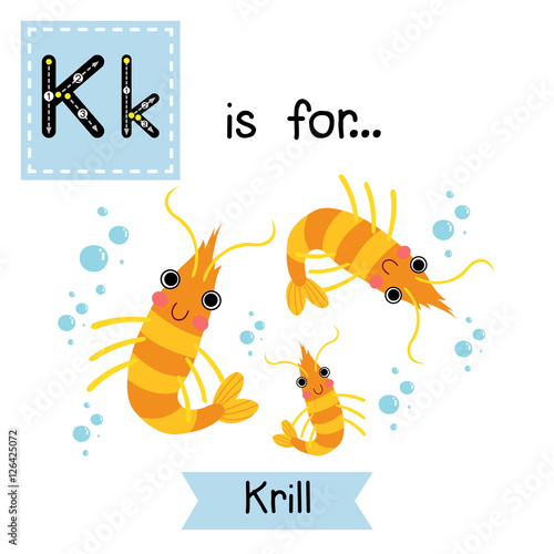 K letter tracing. Krill. Cute children zoo alphabet flash card. Funny cartoon animal. Kids abc education. Learning English vocabulary. Vector illustration.